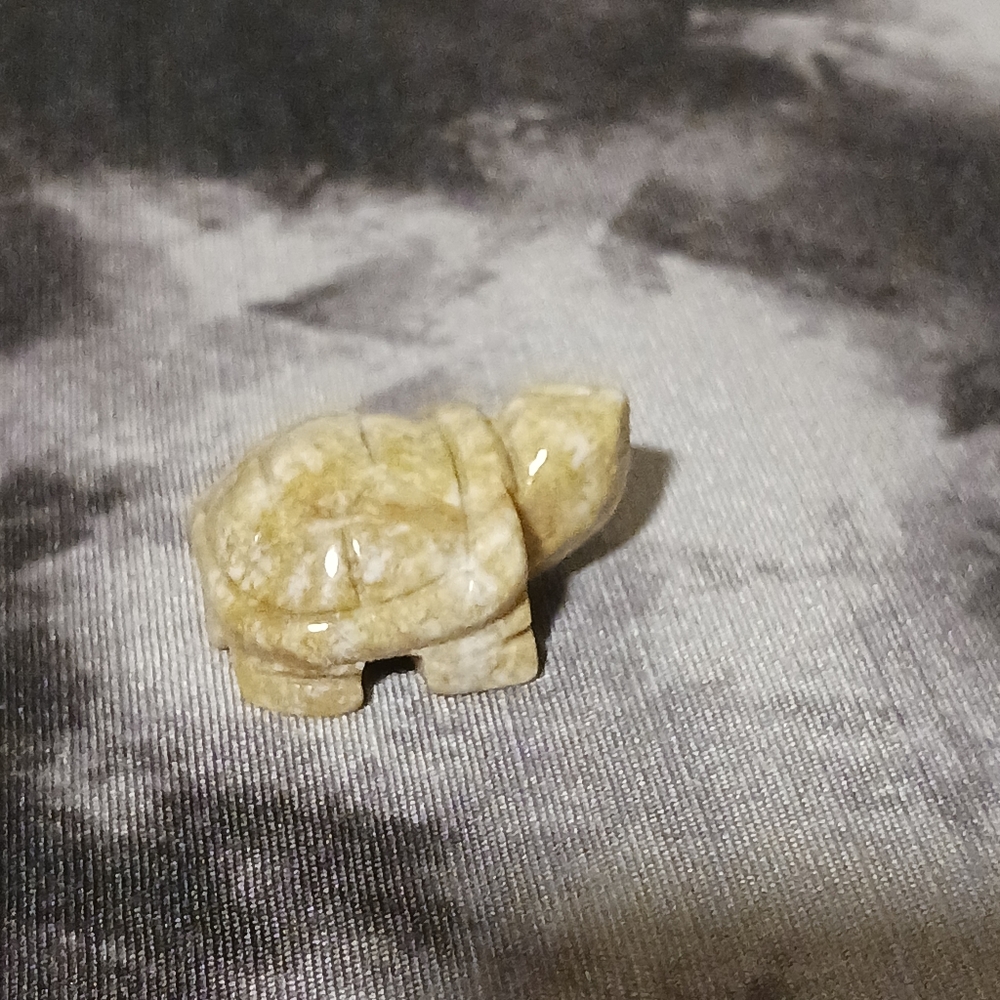 Crystal Turtle - Picture 3 of 8